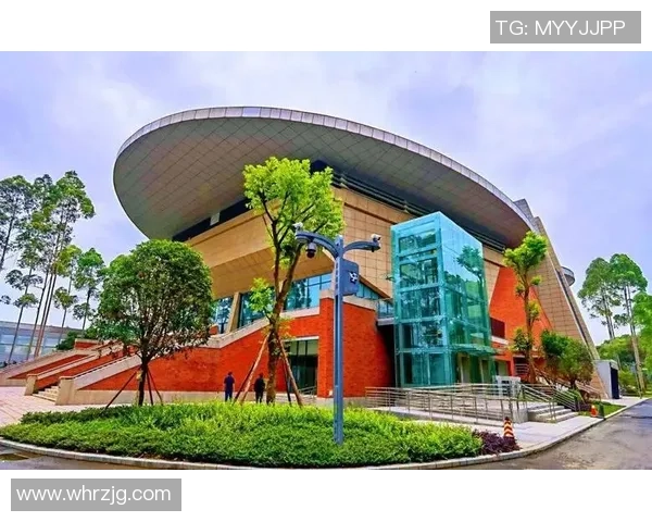 专业解读:成都排球队的运营打法 专业解读:成都排球队的运营打法