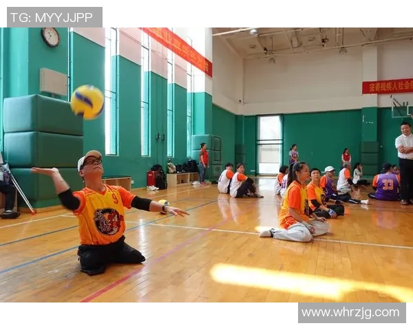 深圳排球队技术实力分析与比赛表现全面点评