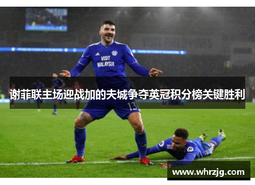 谢菲联主场迎战加的夫城争夺英冠积分榜关键胜利